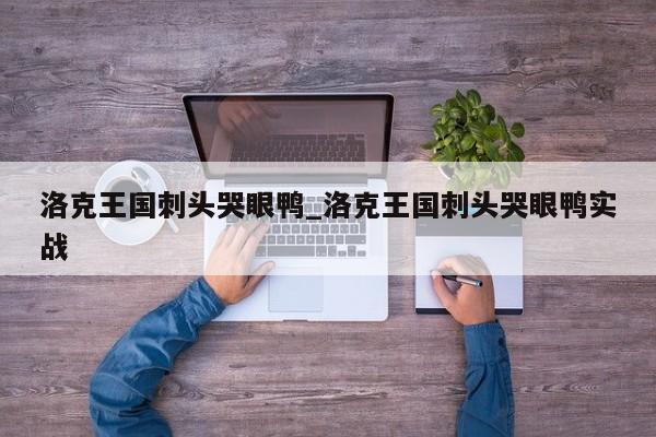 洛克王国刺头哭眼鸭_洛克王国刺头哭眼鸭实战